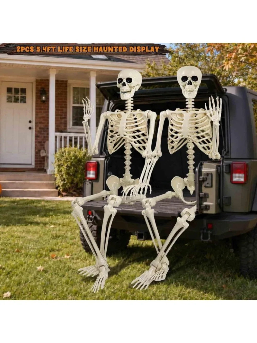 2 Pack 5.4ft Life Size Halloween Skeletons - Realistic Posable Outdoor Decor